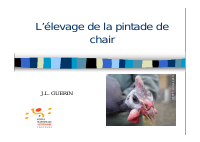 Pintade (4).pdf